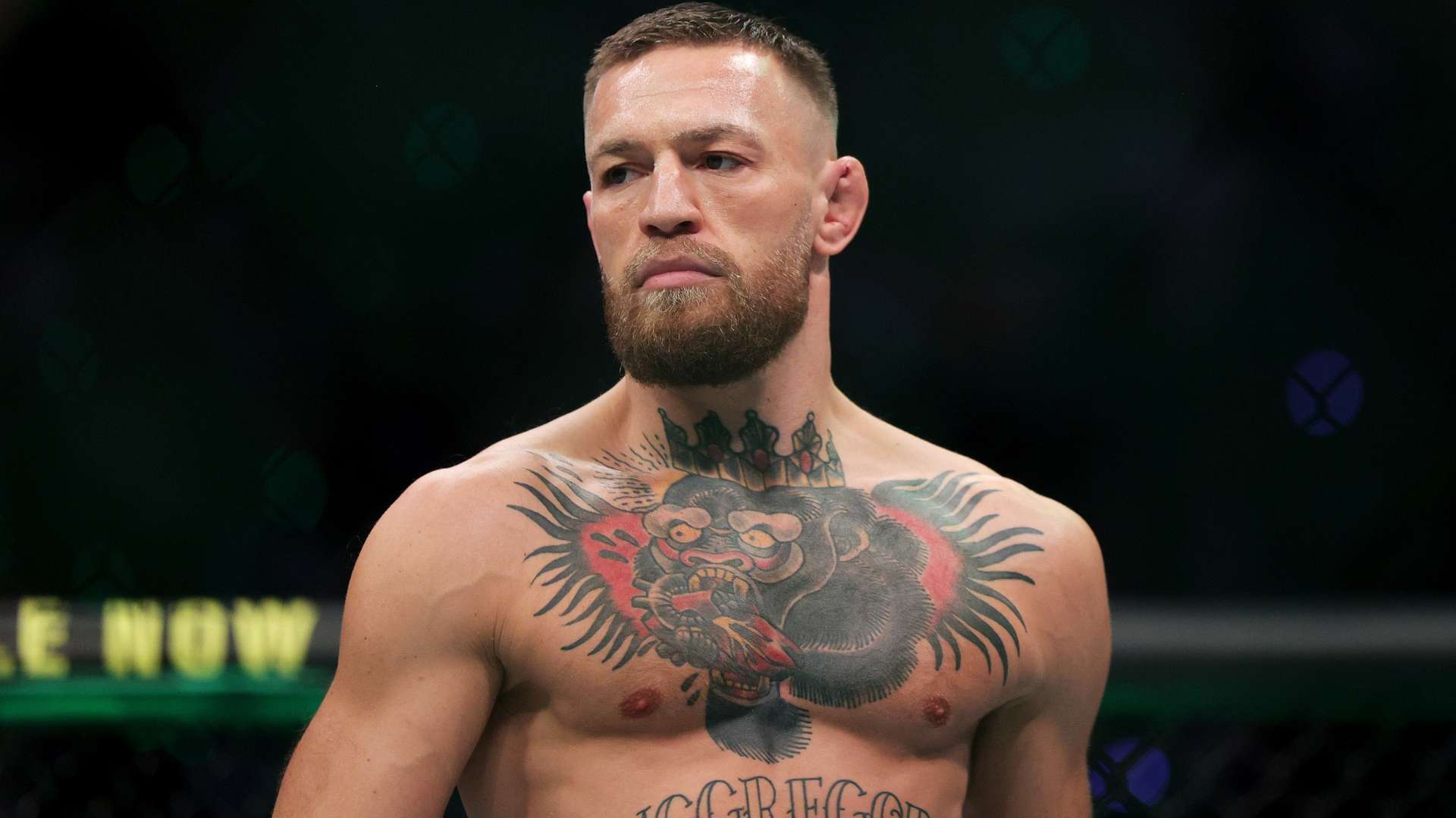 更是文化的 更是文化的