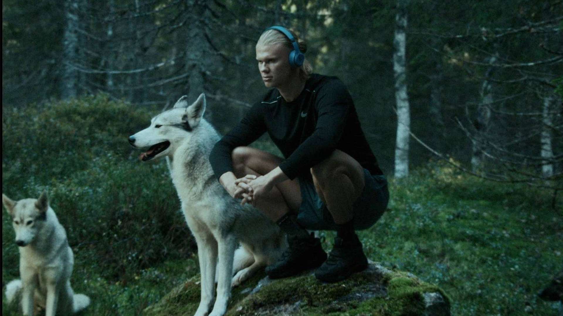 个公正的发 个公正的发